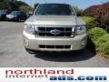 Gold Leaf Metallic - Escape XLT V6 4WD Photo No. 3