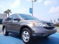 2010 Urban Titanium Metallic Honda CR-V LX  photo #7