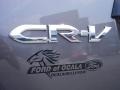 2010 Urban Titanium Metallic Honda CR-V LX  photo #9