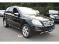 Black - ML 350 4Matic Photo No. 6