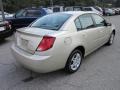 2004 Golden Wheat Saturn ION 2 Sedan  photo #5