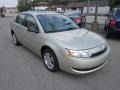 2004 Golden Wheat Saturn ION 2 Sedan  photo #7