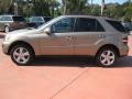 2009 Sand Beige Metallic Mercedes-Benz ML 350 4Matic  photo #3