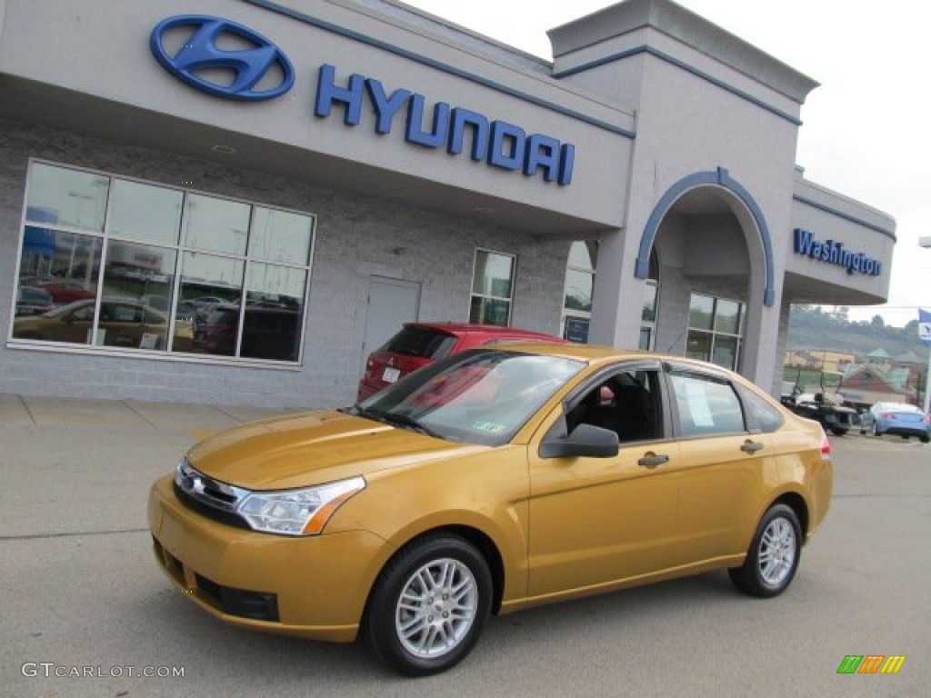 2009 Focus SE Sedan - Amber Gold Metallic / Charcoal Black photo #1