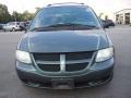 2002 Steel Blue Pearl Dodge Grand Caravan SE  photo #6