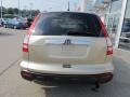 Borrego Beige Metallic - CR-V EX 4WD Photo No. 7