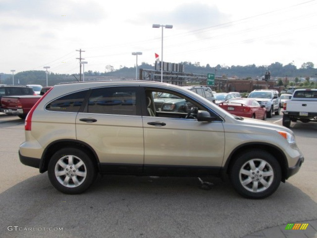 2009 CR-V EX 4WD - Borrego Beige Metallic / Ivory photo #9