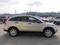 Borrego Beige Metallic - CR-V EX 4WD Photo No. 9