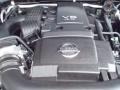 Super Black - Pathfinder Silver Photo No. 14