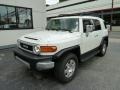 Iceberg White - FJ Cruiser 4WD Photo No. 11
