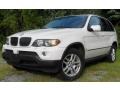 Alpine White - X5 3.0i Photo No. 1
