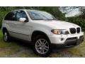 Alpine White - X5 3.0i Photo No. 2