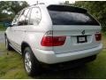Alpine White - X5 3.0i Photo No. 3