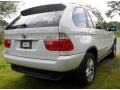 Alpine White - X5 3.0i Photo No. 4