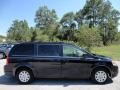 2010 Blackberry Pearl Chrysler Town & Country LX  photo #12