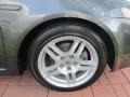 Polished Metal Metallic - TL 3.2 Photo No. 11