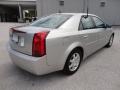 Light Platinum - CTS Sedan Photo No. 10