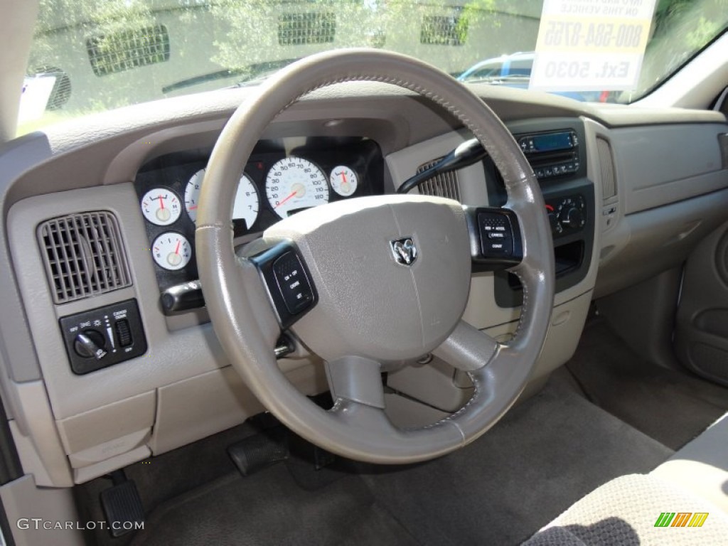 2004 Ram 1500 Sport Regular Cab - Bright White / Dark Slate Gray photo #6