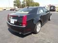 Black Raven - CTS 3.6 Sedan Photo No. 5