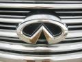 Liquid Platinum - M 35 Sedan Photo No. 26
