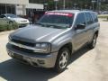 Graystone Metallic - TrailBlazer LS Photo No. 1