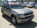 Graystone Metallic - TrailBlazer LS Photo No. 7
