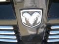 2010 Brilliant Black Crystal Pearl Dodge Nitro SXT 4x4  photo #25