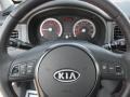 2010 Kia Rio Rio5 SX Hatchback Controls
