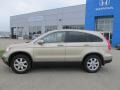 Borrego Beige Metallic - CR-V EX-L 4WD Photo No. 2