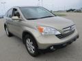 Borrego Beige Metallic - CR-V EX-L 4WD Photo No. 5