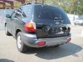 Black Obsidian - Santa Fe  Photo No. 2