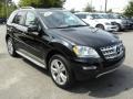 Black - ML 350 4Matic Photo No. 1
