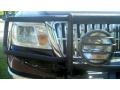 Black Clearcoat - Mark LT SuperCrew 4x4 Photo No. 51