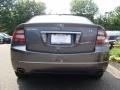 Polished Metal Metallic - TL 3.2 Photo No. 5