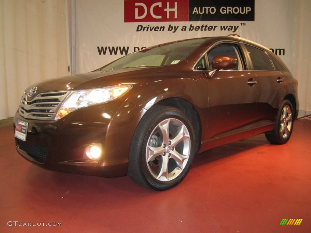 2009 Venza V6 AWD - Sunset Bronze Mica / Ivory photo #1