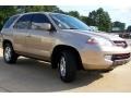 Mesa Beige Metallic - MDX  Photo No. 2