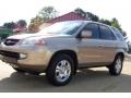 Mesa Beige Metallic - MDX  Photo No. 21