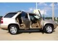 Mesa Beige Metallic - MDX  Photo No. 24