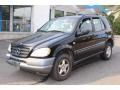 Black - ML 320 4Matic Photo No. 1