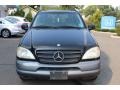 Black - ML 320 4Matic Photo No. 2