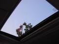 Black/Red w/Red Trim Sunroof Photo for 2011 Nissan Juke #54023660