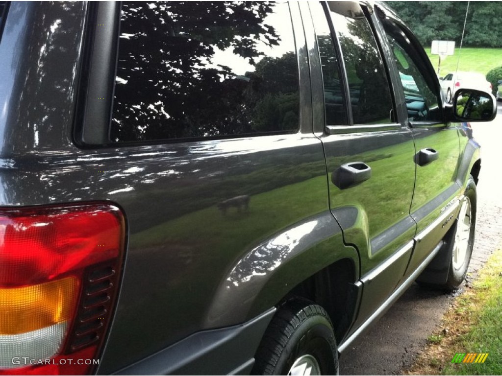 2003 Grand Cherokee Laredo 4x4 - Graphite Metallic / Dark Slate Gray photo #11