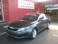 Platinum Graphite - Optima LX Photo No. 1