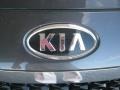 Platinum Graphite - Optima LX Photo No. 23
