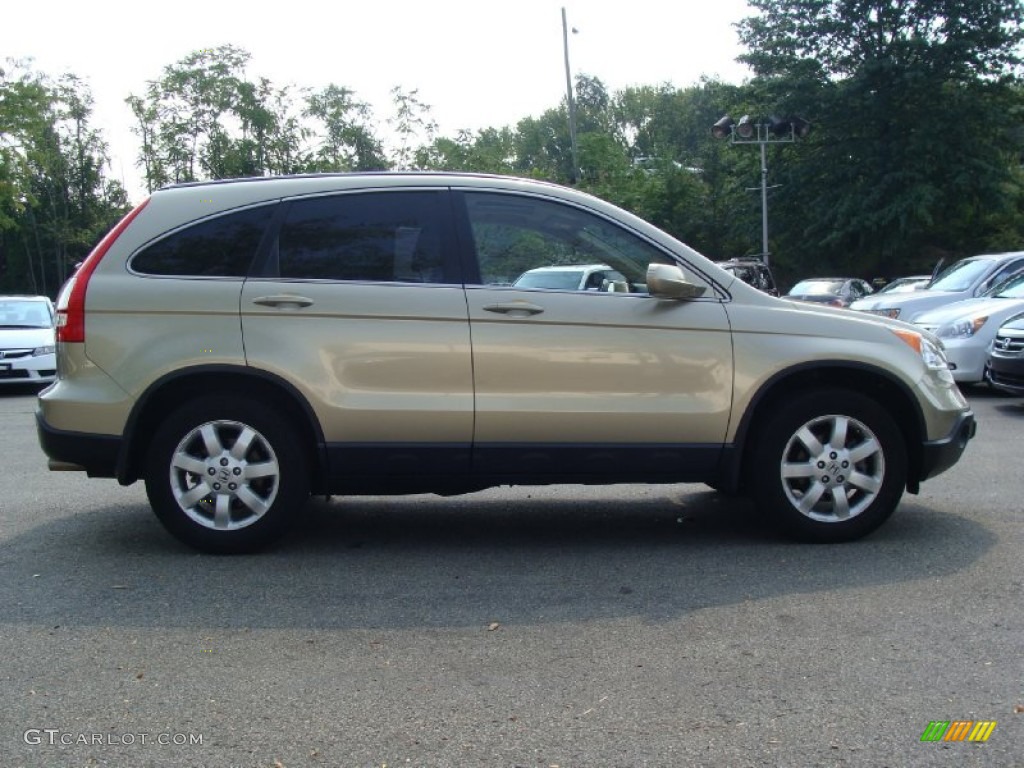 2008 CR-V EX-L 4WD - Borrego Beige Metallic / Ivory photo #7