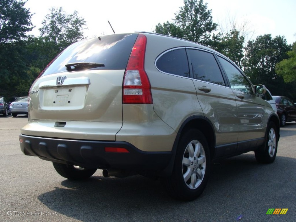 2008 CR-V EX-L 4WD - Borrego Beige Metallic / Ivory photo #8