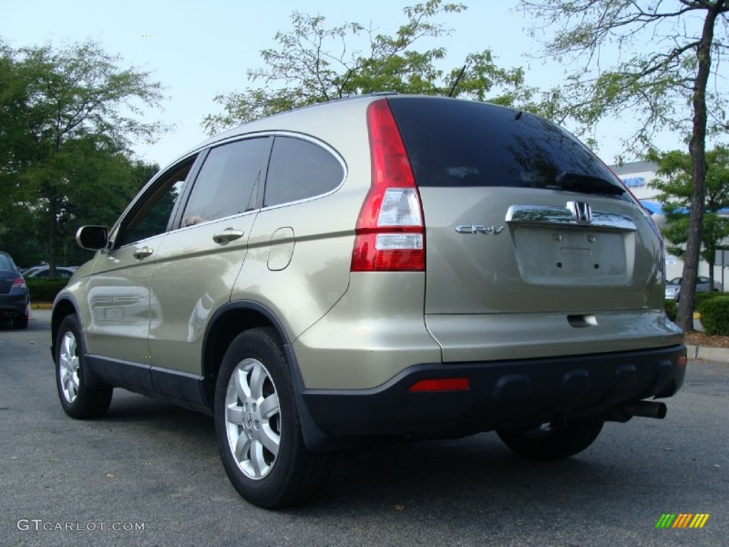 2008 CR-V EX-L 4WD - Borrego Beige Metallic / Ivory photo #10