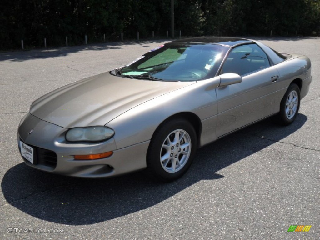 2001 Camaro Coupe - Light Pewter Metallic / Ebony photo #1