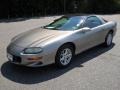 Light Pewter Metallic 2001 Chevrolet Camaro Coupe