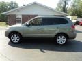 2008 Natural Khaki Green Hyundai Santa Fe Limited 4WD  photo #1